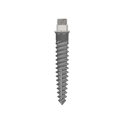 Mini Plus|