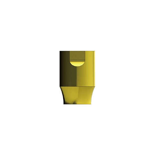Mini Plus Abutment|