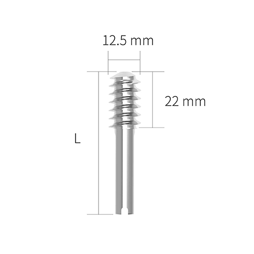 Lag Screw|Hung Chun Bio-s Co. Ltd