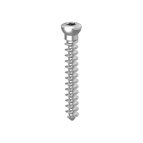 Cancellous Screw|