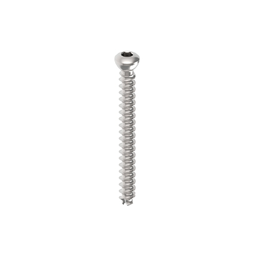 Cannulated  Screw|Hung Chun Bio-s Co. Ltd