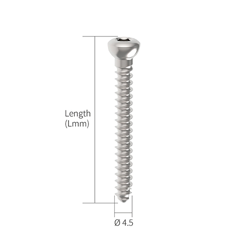 Cortex Screw|Hung Chun Bio-s Co. Ltd