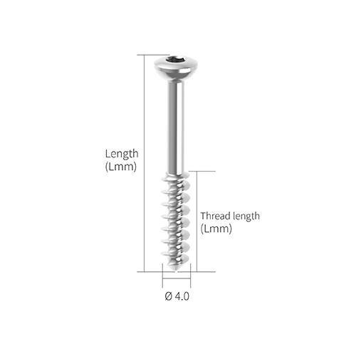 Cannulated  Screw|Hung Chun Bio-s Co. Ltd