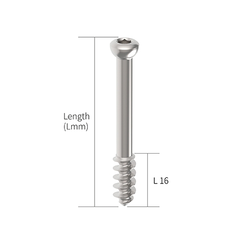 Cannulated  Screw|Hung Chun Bio-s Co. Ltd