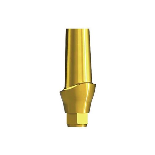 Smiler Abutment|Hung Chun Bio-s Co. Ltd