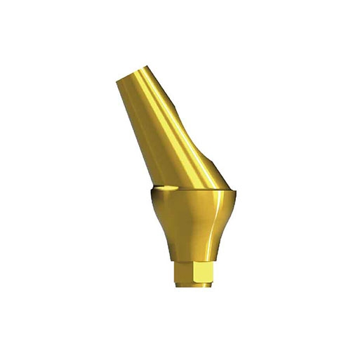 Angled Abutment|Hung Chun Bio-s Co. Ltd