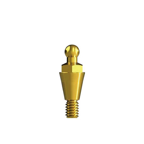 Ball Type Abutment|Hung Chun Bio-s Co. Ltd