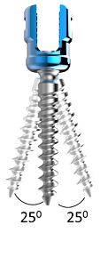 Spine screw|